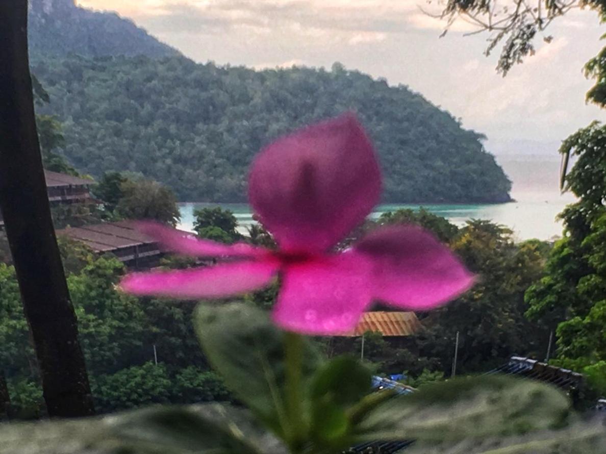 Phi Phi Sea And Hill Resort Екстериор снимка